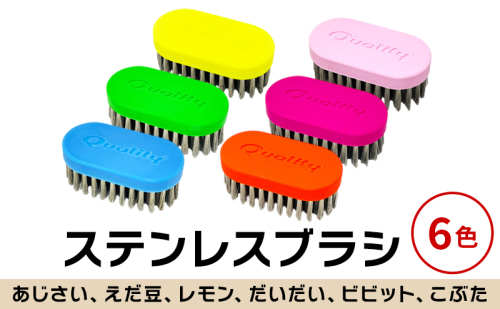 極線君記念モデル ブラシ 掃除 ステンレスブラシ 極線君 日進市 愛知県 ※配送不可:北海道、離島 2321985 - 愛知県日進市