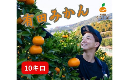 和歌山県産 濃厚な甘さ 早生みかん 10kg 農家直送 2322050 - 和歌山県有田川町
