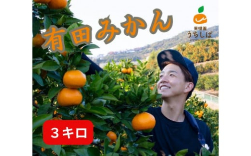 和歌山県産 濃厚な甘さ 有田みかん 3kg 農家直送 2322054 - 和歌山県有田川町