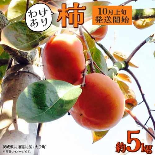 【 訳あり 】 柿 約5kg【2025年10月上旬発送開始】(茨城県共通返礼品：大子町) 柿 かき カキ 果物 フルーツ 旬 季節限定 期間限定 2322060 - 茨城県牛久市