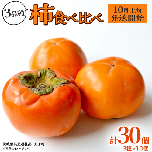 柿 食べ比べ 3品種×10個【2025年10月上旬発送開始】(茨城県共通返礼品：大子町) 富有柿 次郎柿 種無し柿 筆柿 太秋柿 果物 フルーツ 旬 季節限定 期間限定 2322120 - 茨城県牛久市