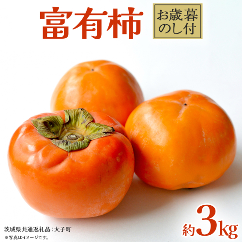 【 お歳暮 熨斗付き 】富有柿 約3kg 【2025年12月上旬発送開始】(茨城県共通返礼品：大子町) 果物 フルーツ 旬 季節限定 期間限定 贈答用 ギフト 贈り物 2322122 - 茨城県牛久市