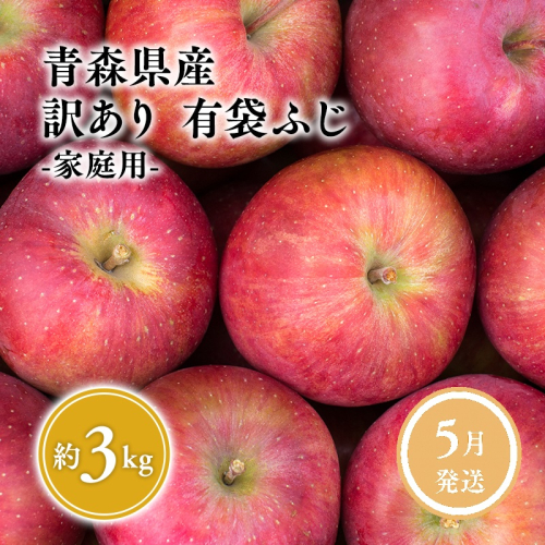 5月 クール便発送【訳あり】家庭用有袋ふじ約3kg【有袋ふじ・りんご・青森・平川・訳あり・家庭用・原田青果・３kg】 2322123 - 青森県平川市
