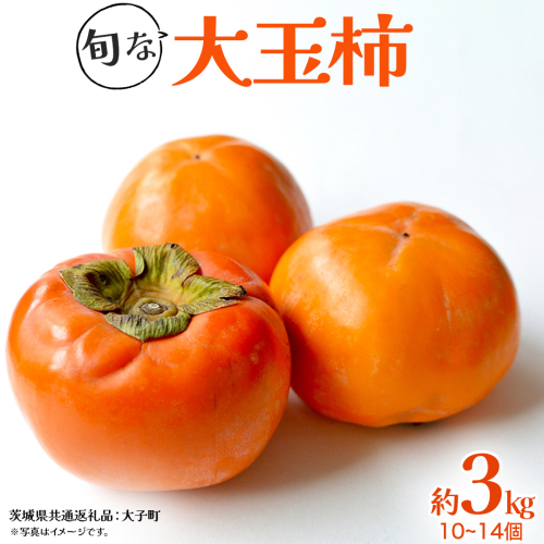 旬な大玉 柿 約3kg 10～14個 【2025年10月上旬発送開始】(茨城県共通返礼品：大子町)	柿 かき カキ 果物 フルーツ 旬 季節限定 期間限定 2322130 - 茨城県牛久市