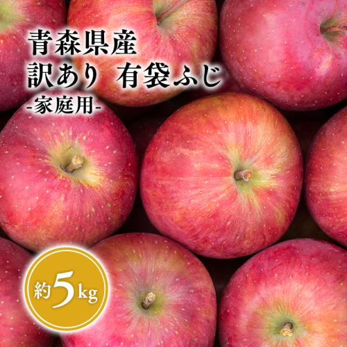6月 クール便発送【訳あり】家庭用有袋ふじ約5kg【有袋ふじ・りんご・青森・平川・訳あり・家庭用・原田青果・5kg】 2322175 - 青森県平川市