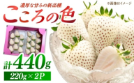 【先行予約】新品種  白石町産 白いちご 「こころの色」 220g×2パック 【鐘ヶ江農園】 [IBH016]