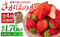 【先行予約】【4回定期便】さがほのか 220g×2パック×4回 【鐘ヶ江農園】 [IBH017]