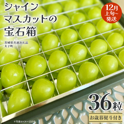 【 お歳暮 熨斗付き 】 シャインマスカット の宝石箱 36粒 【2025年12月上旬発送開始】(茨城県共通返礼品：大子町) ぶどう 葡萄 フルーツ 果物 贈答用 ギフト 贈り物 2322225 - 茨城県牛久市