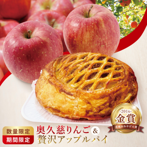 【藤田観光りんご園】奥久慈りんご2kg＆贅沢アップルパイ（ホールサイズ）セット｜茨城県 大子町 林檎 フルーツ 果物 旬 秋 季節限定 数量限定 お菓子 焼菓子 ケーキ おやつ デザート スイーツ(BJ010) 2322226 - 茨城県大子町