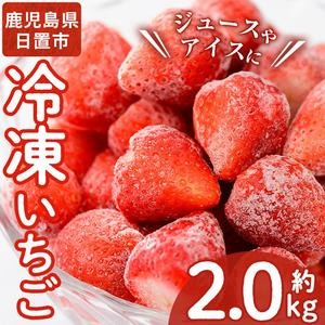 No.298 ＜先行予約受付中！＞冷凍いちご(計約2kg・約1kg×2) 国産 九州産 苺 いちご イチゴ 冷凍 果物 フルーツ 減農薬 アイス【片平観光農園】 2322498 - 鹿児島県日置市