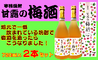 髙﨑酒造 種子島 焼酎 甘露 の 梅酒 720ml ×2本　NFN158【300pt】