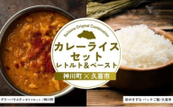 カレーライスセット レトルト&ペースト | カレー カレーライス ドライカレー レトルト ペースト 彩のきずな パックご飯 備蓄 備蓄米 防災 穀物 米 コメ 特産米 ブランド米 パックご飯 ごはん 常備食 レンチン 簡単調理 手軽 埼玉県 埼玉県庁
