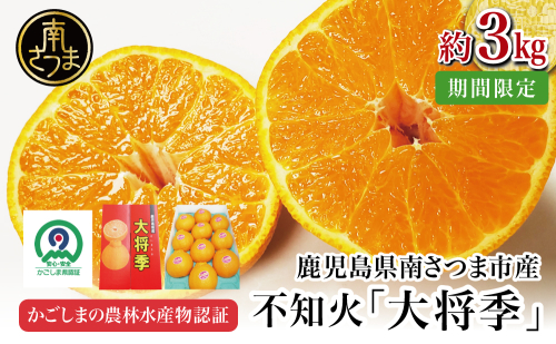 【11月末～12月発送】ブランド不知火「大将季」 約3kg入り化粧箱 （8玉～12玉） 南さつま市 金峰町産 国産 果物 フルーツ 旬 柑橘 不知火 しらぬい くだもの ハウス栽培 常温 鹿児島県 2322882 - 鹿児島県南さつま市