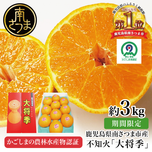 【11月末～12月発送】ブランド不知火「大将季」 約3kg入り化粧箱 （8玉～12玉） 国産 果物 フルーツ 旬 柑橘 みかん 不知火 しらぬい くだもの ハウス栽培 常温 鹿児島県 南さつま市 金峰町産 2322882 - 鹿児島県南さつま市
