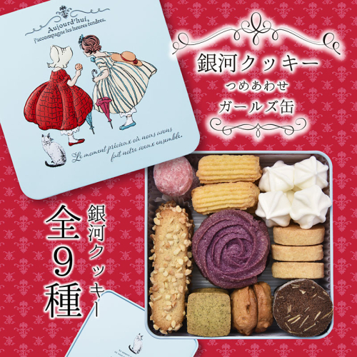 銀河クッキー 詰め合わせ ガールズ缶 9種の焼き菓子詰合せ　お菓子 おやつ 焼菓子 クッキー   2322884 - 奈良県大和郡山市