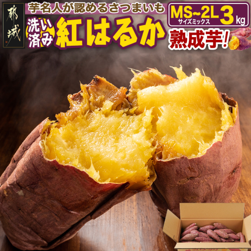 【熟成芋】芋名人が認めるさつまいも『洗い済み　紅はるか』3kg MS～2Lミックス ※12月～1月頃順次発送_LD-L704-J 2322968 - 宮崎県都城市