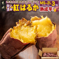 【熟成芋】芋名人が認めるさつまいも『洗い済み　紅はるか』3kg MS～2Lミックス ※12月～1月頃順次発送_LD-L704-J