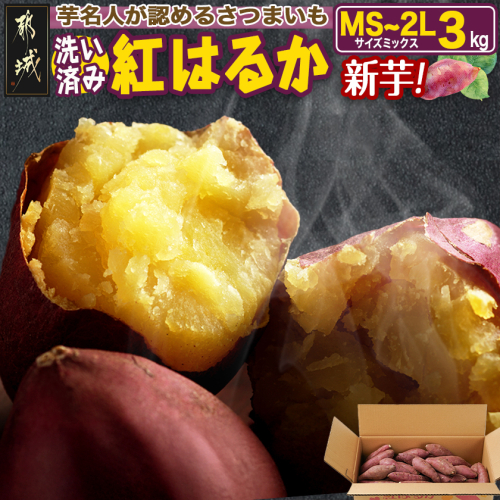 【新芋】芋名人が認めるさつまいも『洗い済み　紅はるか』3kg MS～2Lミックス ※9月～11月頃順次発送_LD-L704-N 2322969 - 宮崎県都城市