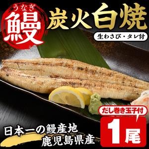 No.309 鹿児島県産うなぎの炭火白焼(1尾・生わさびとタレ付)と自慢の出汁巻き卵1本付！ 国産 九州産 鰻 ウナギ うな重 うな丼 白焼き 卵焼き 出汁巻き おかず お土産 セット 冷凍【家むら】 2323053 - 鹿児島県日置市