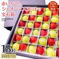【 お歳暮 熨斗付き 】 赤いちご と シャインマスカット の宝石箱 18粒【2025年12月上旬発送開始】(茨城県共通返礼品：大子町) いちご マスカット 果物 フルーツ 旬 季節限定 期間限定 贈答用 ギフト 贈り物