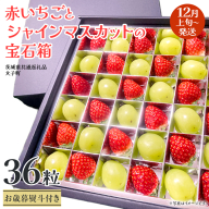 【 お歳暮 熨斗付き 】 赤いちご と シャインマスカット の宝石箱 36粒【2025年12月上旬発送開始】(茨城県共通返礼品：大子町) いちご マスカット 果物 フルーツ 旬 季節限定 期間限定 贈答用 ギフト 贈り物