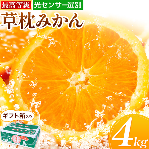 ＜先行予約＞草枕みかん 約4kg 《11月上旬-12月上旬頃出荷》熊本県 長洲町 フルーツ 柑橘 みかん ミカン 草枕 デザート 送料無料 2323067 - 熊本県長洲町