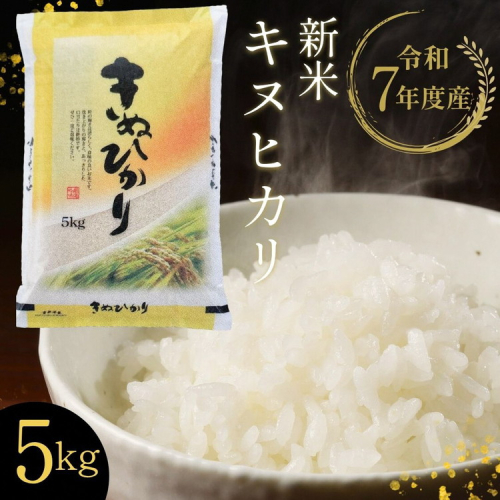 【令和7年産 新米】京都丹波・亀岡産 キヌヒカリ 5kg 米 白米 ※精米したてをお届け《契約栽培米 米・食味鑑定士厳選 きぬひかり 京都丹波産 数量限定 訳あり 簡易包装》※北海道・沖縄・離島への配送不可 2323068 - 京都府亀岡市