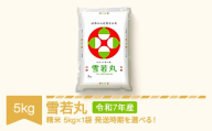 [先行予約] 新米 米 5kg 5kg×1 雪若丸 精米 令和7年産 2025年12月中旬 mk-ywxxa5-s12b