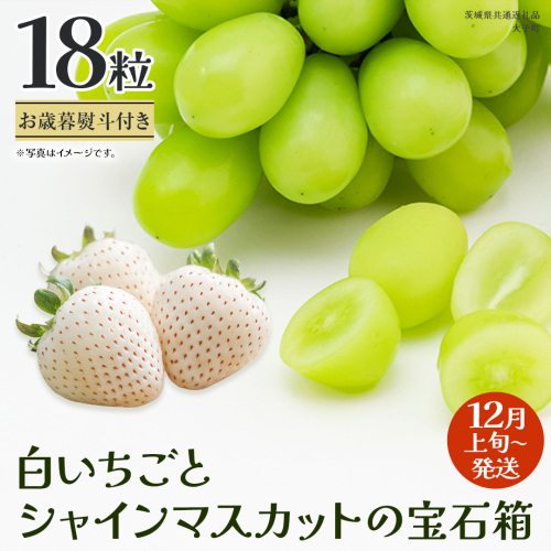 【 お歳暮 熨斗付き 】 白いちご と シャインマスカット の宝石箱 18粒【2025年12月上旬発送開始】(茨城県共通返礼品：大子町) いちご マスカット 果物 フルーツ 旬 季節限定 期間限定 贈答用 ギフト 贈り物 2323386 - 茨城県牛久市