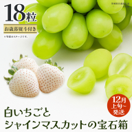 【 お歳暮 熨斗付き 】 白いちご と シャインマスカット の宝石箱 18粒【2025年12月上旬発送開始】(茨城県共通返礼品：大子町) いちご マスカット 果物 フルーツ 旬 季節限定 期間限定 贈答用 ギフト 贈り物