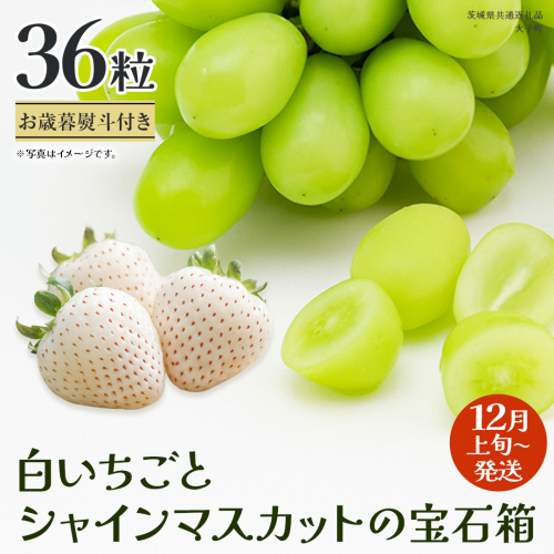 【 お歳暮 熨斗付き 】 白いちご と シャインマスカット の宝石箱 36粒【2025年12月上旬発送開始】(茨城県共通返礼品：大子町) いちご マスカット 果物 フルーツ 旬 季節限定 期間限定 贈答用 ギフト 贈り物 2323387 - 茨城県牛久市