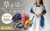 草木染め コットンショール 【淡藤色】　/ 大判 ショール ストール 草木染め 綿 綿100 ファッション 小物 レディース メンズ ギフト 贈答 プレゼント / 大村市 / ISTIST [ACZW054]