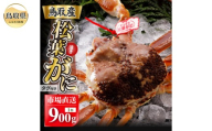 F25-020 【2025年12月発送】特撰 松葉がに（なま）【ブランドタグ付き】900g超の大きいサイズ 食べ応えあり 特大1杯