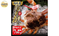 F25-022 【2025年12月発送】特撰 松葉がに（なま）【ブランドタグ付き】700g超の大きいサイズ 食べ応えあり 特大1杯