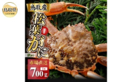 E25-021 【2025年12月発送】特撰 松葉がに（なま）【訳あり】700g超の大きいサイズ 食べ応えあり 特大1杯