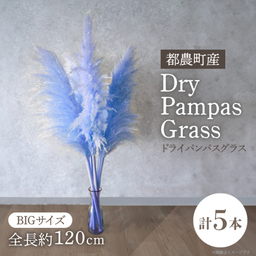 【2週間以内発送】ドライパンパスグラス（ブルー）計5本 すすき インテリア 国産_T057-002 2324068 - 宮崎県都農町