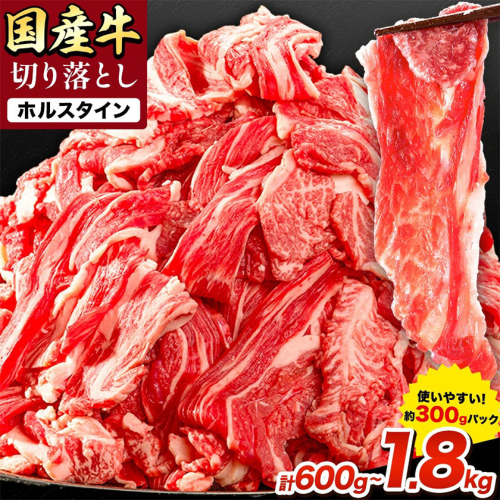 牛肉 肉 国産牛 切り落とし ホルスタイン 大容量 小分け 600g～1.8kg 1パック 300g 定期便 有 3ヶ月 6ヶ月 《30日以内に出荷予定(土日祝除く)》岡山県産 岡山県 笠岡市 お肉 にく カレー 牛丼 牛肉 切り落し 小分け 切落し 牛肉 小分け 牛肉 2324072 - 岡山県笠岡市