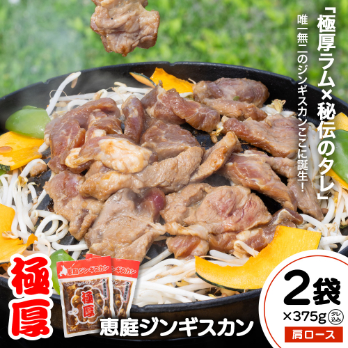 恵庭ジンギスカン（NZラム肩ロース使用）×2袋【190102】 2324393 - 北海道恵庭市