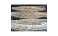 ＜国産うなぎ＞大サイズ140g -170g　鹿児島産　10尾 炭火蒲焼き(タレ付き)【1659344】