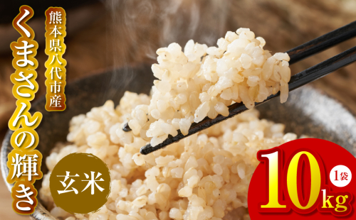 【先行予約】《令和7年産》 くまさんの輝き 玄米 10kg 熊本県 八代市産 米 お米 国産 【2025年11月下旬より順次発送】
 2324522 - 熊本県八代市
