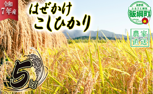 米 こしひかり 5kg ( 令和7年産 ) 黒柳さんのお米 はぜかけ 沖縄県への配送不可 2025年11月上旬頃から順次発送予定 コシヒカリ 白米 精米 お米 信州 17500円 予約 農家直送 長野県 飯綱町 [0107]