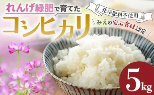 コシヒカリ 5kg れんげ緑肥で育てたみえの安心食材の認定 　化学肥料 不使用 みえ 安心食材認定 国産 コシヒカリ コシヒカリ コシヒカリ コシヒカリ GE-03 2324779 - 三重県多気町