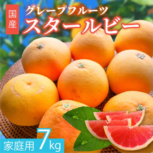 【先行受付予約】国産グレープフルーツ 家庭用7kg（15～20玉） 訳あり 柑橘 スタールビー ノーワックス 防腐剤なし 果物 ジュース ジャム 青果 旬 アロマ できるだけ農薬を使わない ※2026年5月上旬～8月上旬頃に順次発送予定 2324782 - 愛知県美浜町