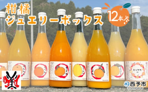 【E21】西予市産柑橘ジュエリーボックス12本入り（無添加果汁100％ジュース） 232485 - 愛媛県西予市