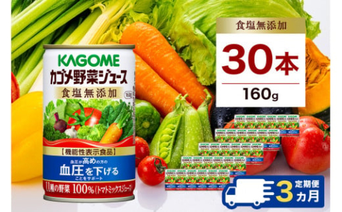 【定期便3ヵ月】カゴメ　野菜ジュース　食塩無添加　160g缶×30本 1ケース 毎月届く 3ヵ月 3回コース【 栃木県 那須塩原市 】 ns001-020 2325098 - 栃木県那須塩原市