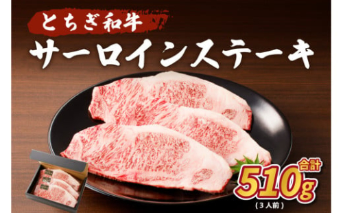 とちぎ和牛 サーロインステーキ510g(3人前) ns004-019 【牛肉 ステーキ 国産牛 食品 グルメ お祝い 誕生日 記念日 肉】 2325141 - 栃木県那須塩原市