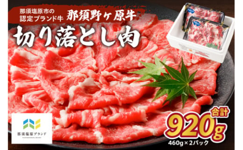 那須野ヶ原牛　切り落とし　460g×2パック ns004-020 【牛肉 ブランド牛 食品 国産 お祝い 誕生日 記念日 肉 カレー シチュー】 2325142 - 栃木県那須塩原市
