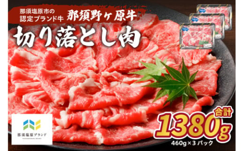 那須野ヶ原牛　切り落とし　460g×3パック ns004-021 【牛肉 ブランド牛 国産 お祝い 誕生日 記念日 カレー シチュー】 2325143 - 栃木県那須塩原市