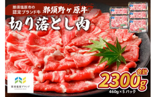 那須野ヶ原牛　切り落とし　460g×5パック ns004-023 【牛肉 ブランド牛 カレー シチュー 肉 肉料理 食品 国産】 2325145 - 栃木県那須塩原市