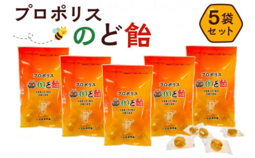 プロポリスのど飴　5袋【 栃木県 那須塩原市 】 ns008-015 2325158 - 栃木県那須塩原市